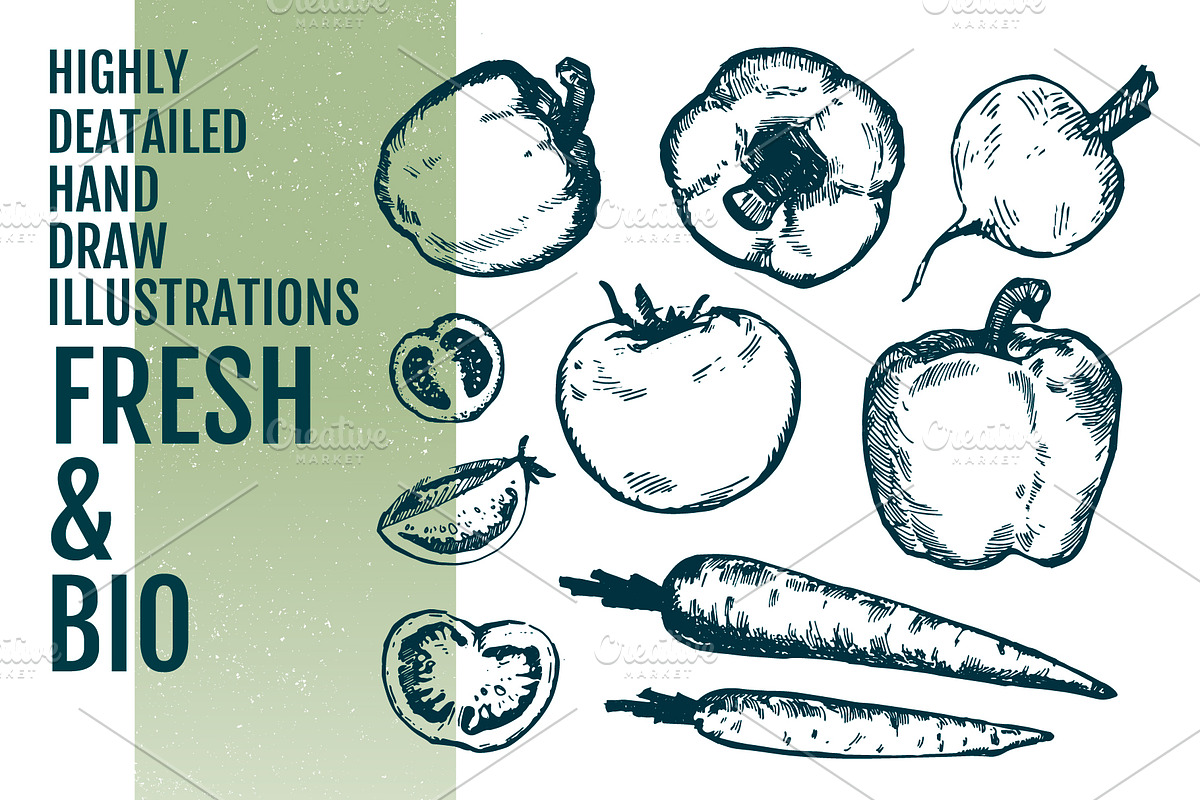 50+ Hand Drawn Fresh Food Elements, a Food Illustration by Vitaliy Starkov (Photo 4 of 7)