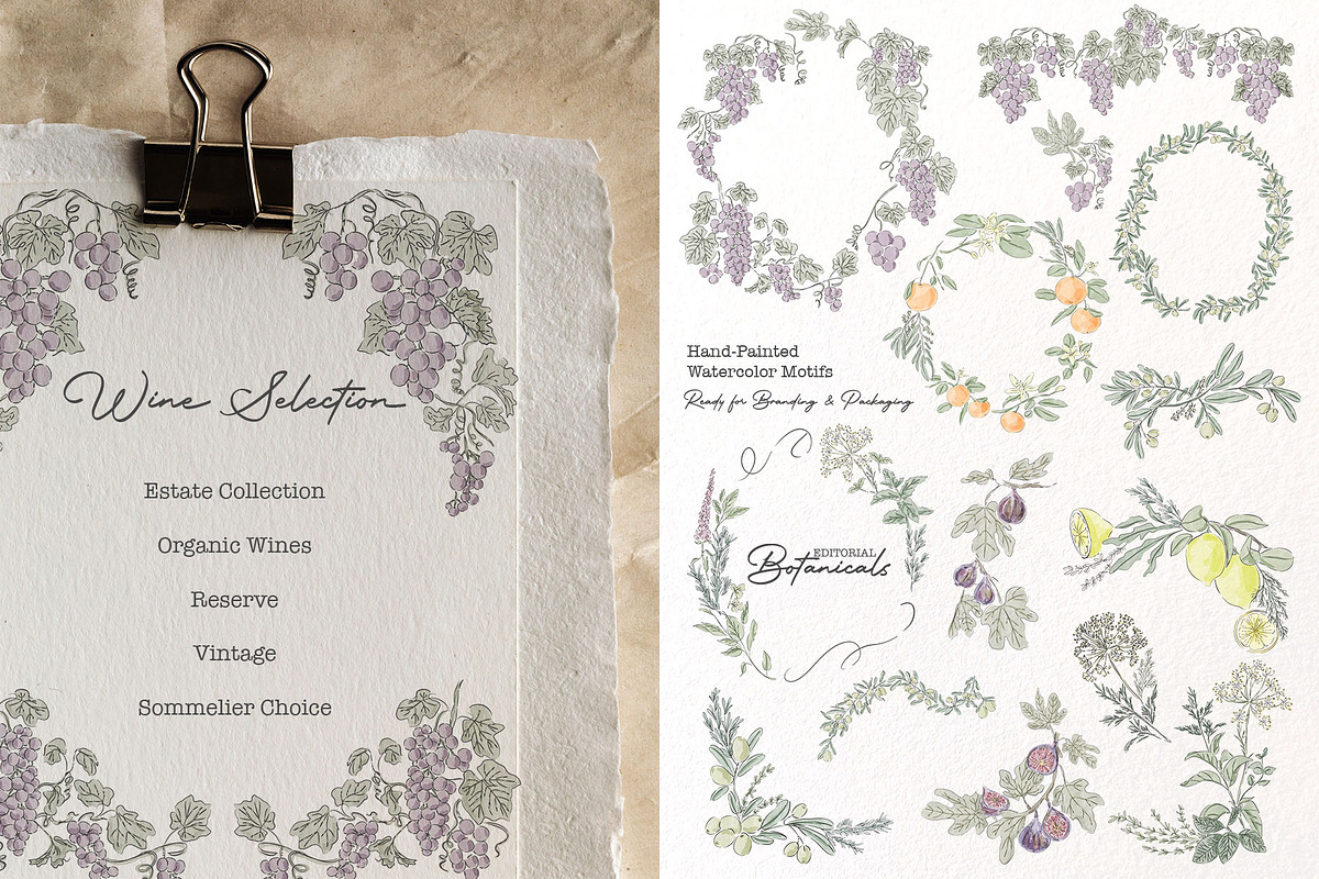 Editorial Botanical Line Art, an Object Illustration by Mio Buono (Photo 14 of 16)