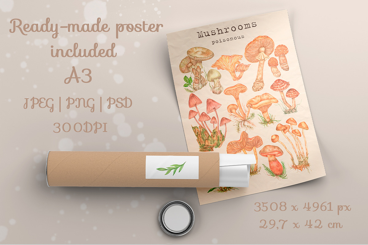 Forest watercolor mushrooms clipart, a Seasonal Illustration by Irina Avdeeva (Photo 4 of 12)
