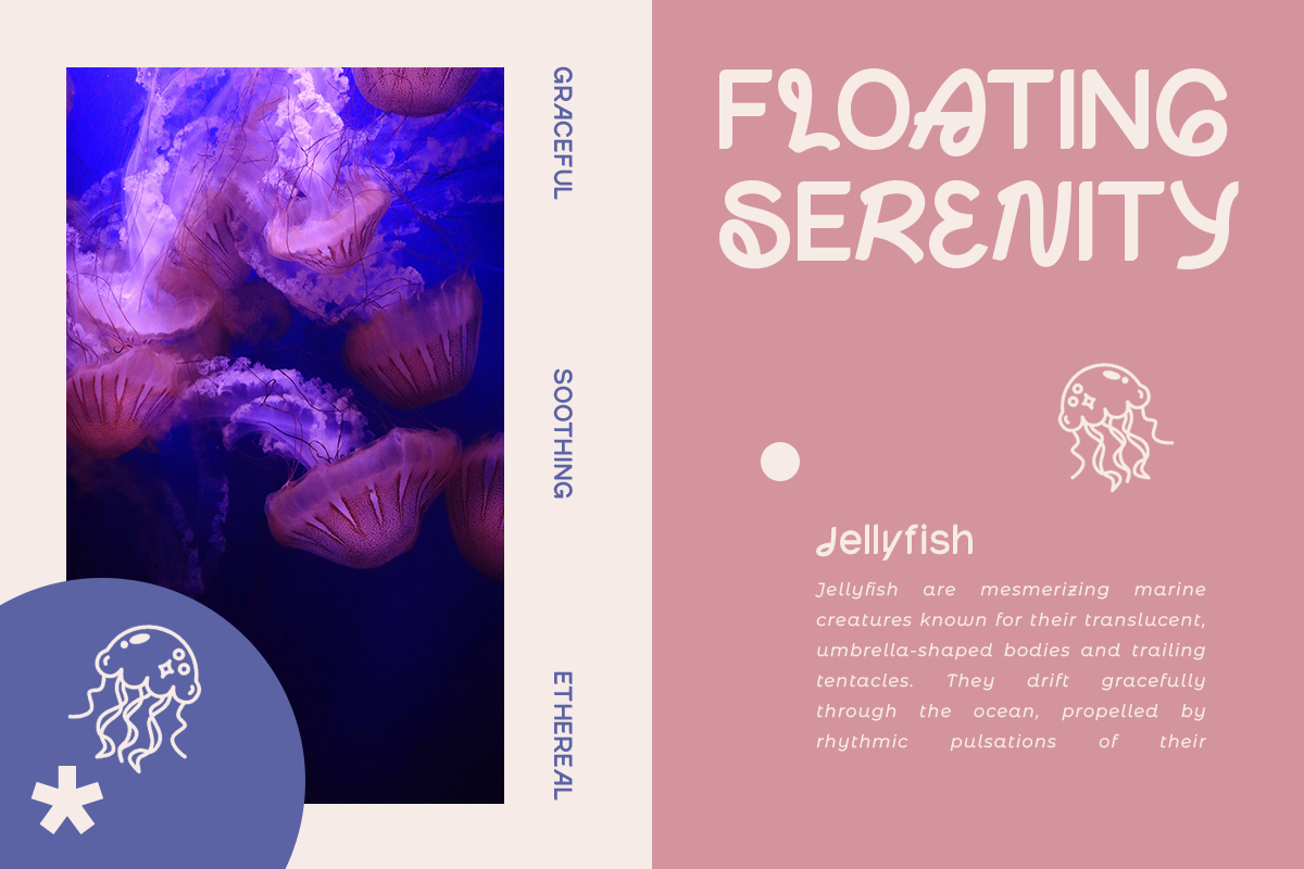 Ovaline - Modern Aesthetic Font, a Sans Serif Font by roomspace creative lab (Photo 7 of 9)