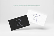 Floral Alphabet. Lavender flowers., an Object Illustration by Anna Kopylova (Thumbnail 4 of 5)