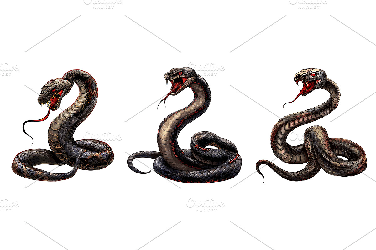 Black mamba snakes. Snake realistic, an Animal Illustration by Stock-Smart-Start