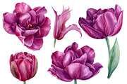 Floral painting spring bouquet, an Illustration by Hanna Hryharenka (Thumbnail 9 of 14)