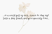 Ink & Clover. A Whimsical Font Duo, a Handwritten Font by PaperJamLab (Thumbnail 11 of 18)