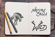Pilgrim Font Collection (3 Fonts), a Serif Font by Design Surplus (Thumbnail 2 of 5)
