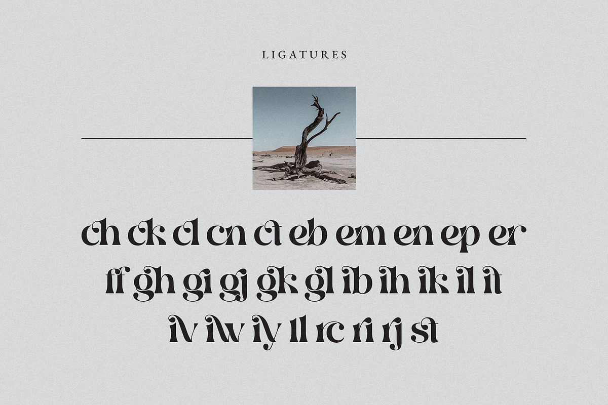 Glirock || Modern Ligature Serif, a Serif Font by BrandSemut (Photo 11 of 13)