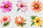 Watercolor Flowers Tropical PNG, an Illustration by Black Bird Studio (Thumbnail 3 of 6)