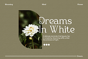 Glojean – Modern Elegant Serif, a Serif Font by Vadovastd (Thumbnail 3 of 8)