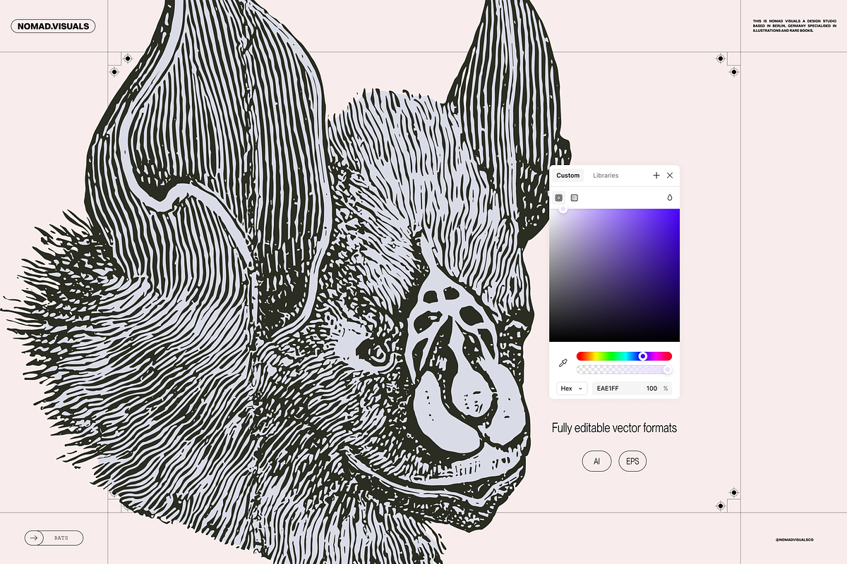Halloween Special! Bats of the World, an Animal Illustration by Nomad Visuals (Photo 12 of 17)
