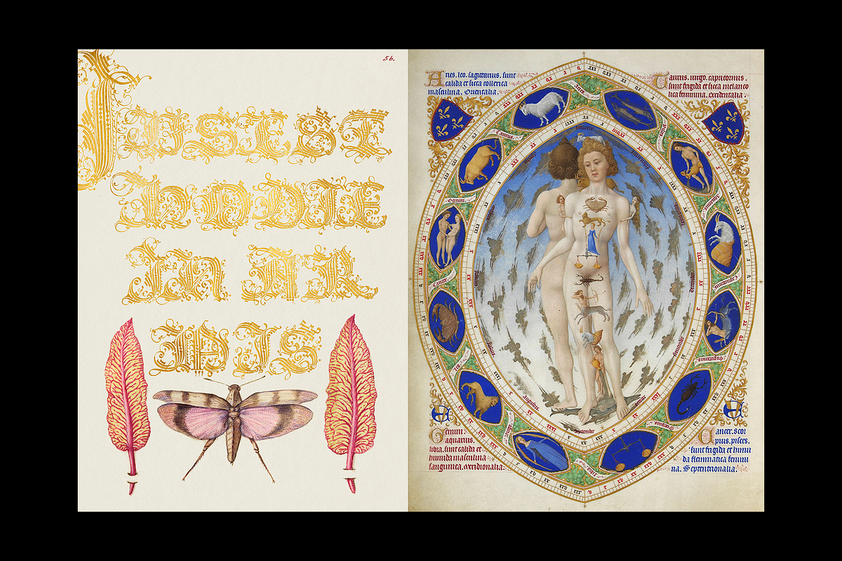 400+ lluminated Manuscripts Bundle, a Decorative Illustration by Digital Museum (Photo 11 of 11)