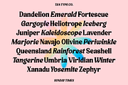 TAN - SUNDAY TIMES, a Serif Font by TanType (Thumbnail 6 of 9)