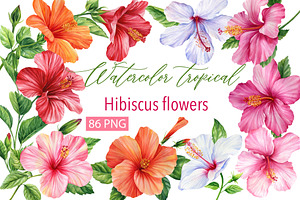 Watercolor Tropical Hibiscus Flowers