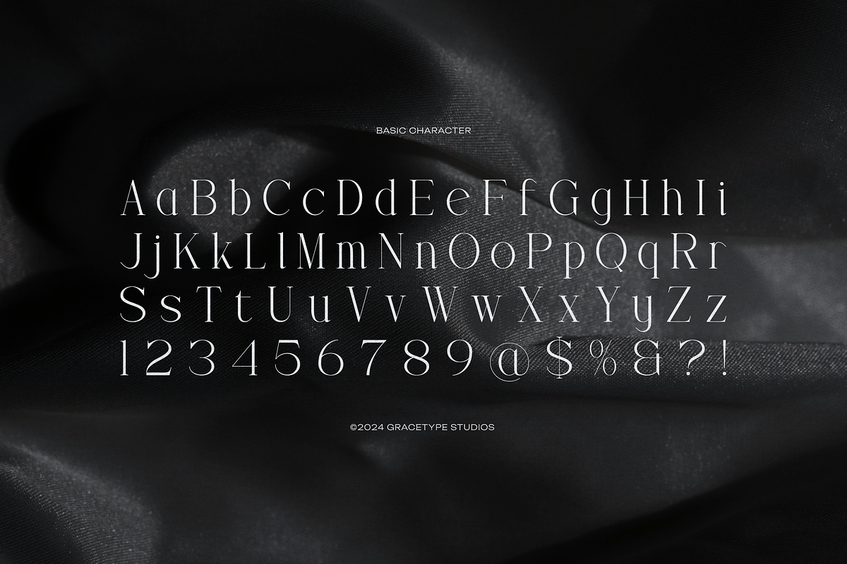 Trailogen | Display Serif Font, a Serif Font by gracetype_studio (Photo 10 of 12)