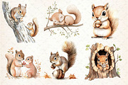Watercolor Squirrel & Baby Clipart, an Illustration by Dream Creation (Thumbnail 4 of 5)