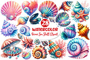 Ocean Sea Shell Sublimation Clipart, an Illustration by Dream Creation (Thumbnail 1 of 6)