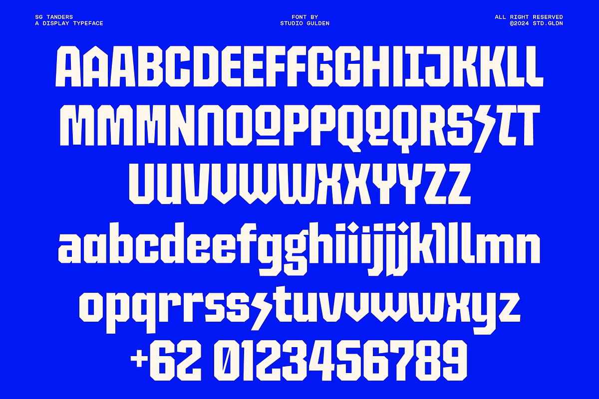 SG Tanders Superfamily - 72 Fonts, a Sans Serif Font by Studio Gulden (Photo 14 of 23)
