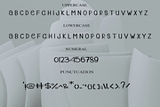 Tumbler, a Script Font by FreshTypeINK (Thumbnail 4 of 8)