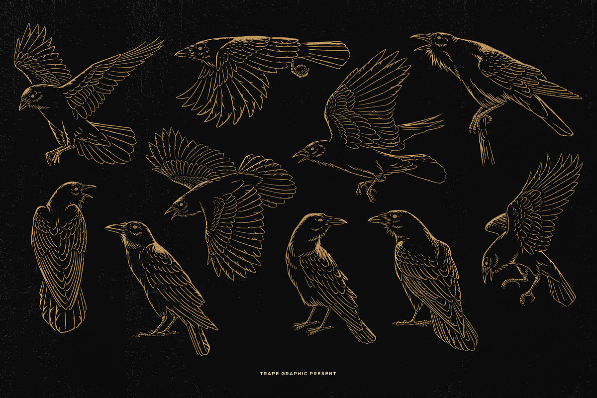 Crow Raven Illustrations pack, an Animal Illustration by Trape Graphic Studio (Photo 3 of 7)