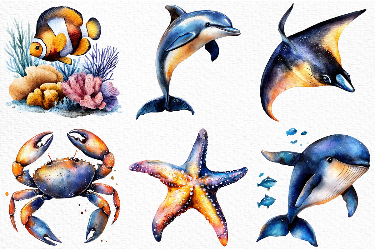 Watercolor Ocean Animals Clipart, an Illustration by Craft Nest (Photo 3 of 11)
