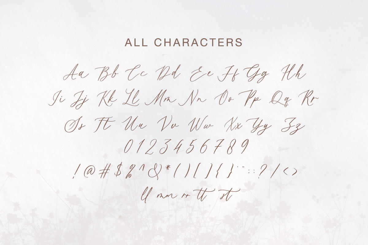 Adore Stacy - Beautiful Love Script, a Script Font by Bale Type (Photo 8 of 9)