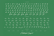 Bombyes Shigter Bold Brush Font, a Script Font by stylishtype.co (Thumbnail 19 of 20)