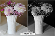 Spectrum Black & White profiles LUTs, a Plug-in Add-On by Raztrend (Thumbnail 10 of 31)