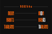 Plaga - Display Typeface, a Sans Serif Font by Badsign Type (Thumbnail 3 of 7)