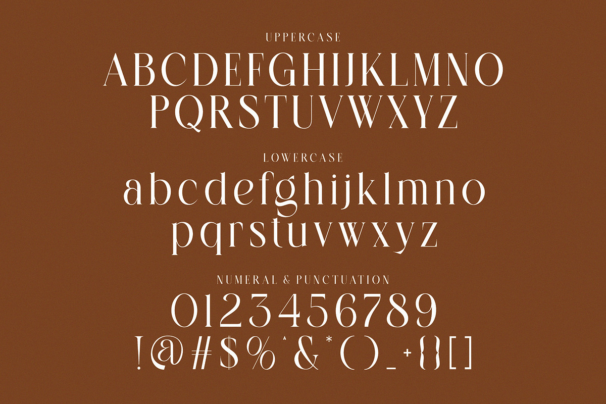 SALLINE — Modern Serif Typeface, a Serif Font by Alfinart (Photo 6 of 7)