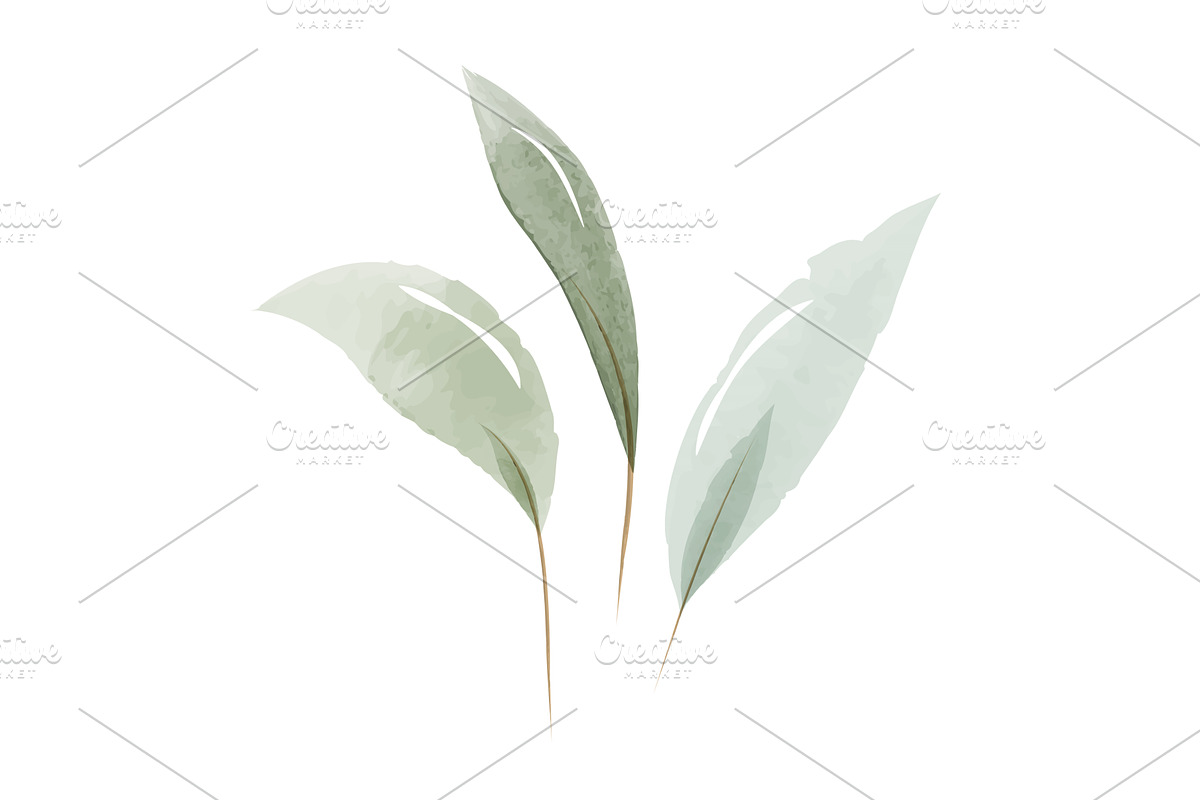 Watercolor green leaves decorative, an Object Illustration by okskukuruza
