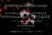 Battie Sellie - Script Font, a Script Font by NTC Graphic (Thumbnail 6 of 7)