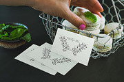 Black and White Botanical Collection, an Illustration by TanataDesign (Thumbnail 7 of 8)