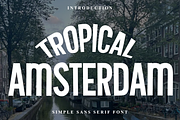 Tropical Amsterdam, a Script Font by FreshTypeINK (Thumbnail 1 of 8)