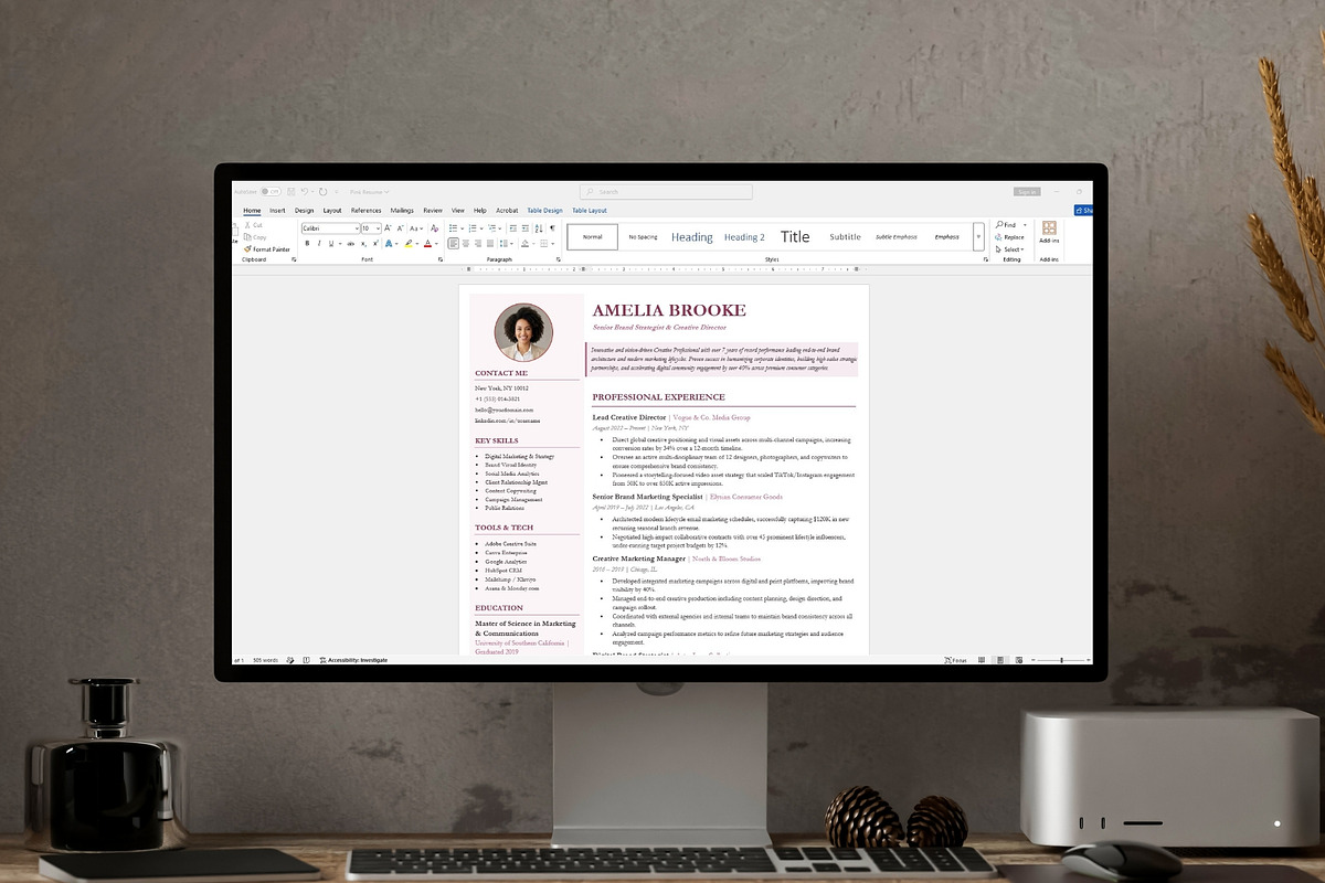 Professional Resume Template, a Resume Template by Anjum Ilyas (Photo 7 of 7)