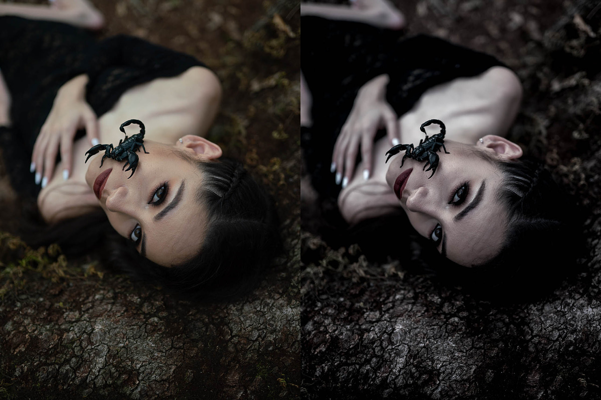 10 Lightroom Presets - Muted, an Action Add-On by Preset Bunker (Photo 8 of 10)