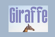 Galfego Condensed Sans Serif, a Sans Serif Font by Craft Supply Co. (Thumbnail 11 of 12)