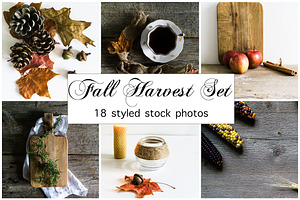 Fall Photo Bundle