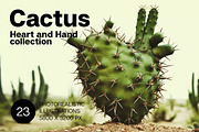 Cactus. 23 images, a Nature Photo by Handmadefont (Thumbnail 1 of 9)