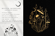 Mystical Mushrooms - graphic kit, an Animal Illustration by My Space Garden (Thumbnail 2 of 17)