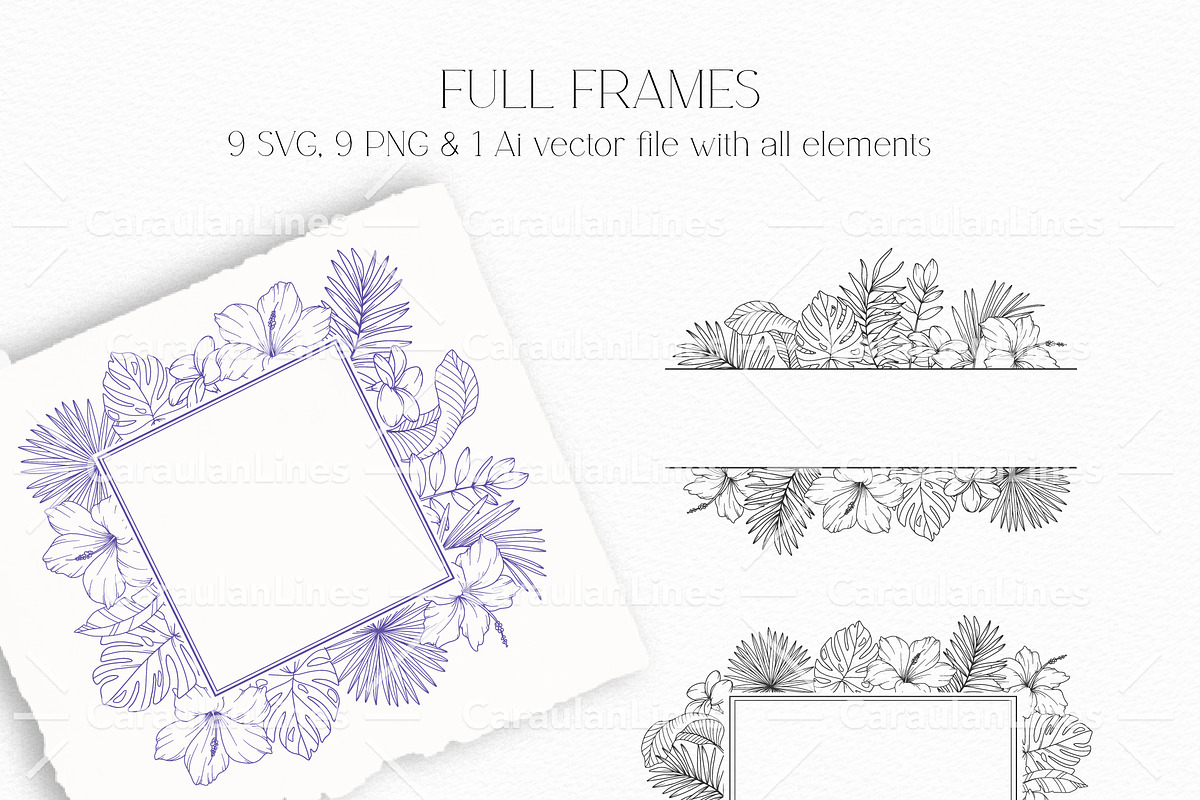 Tropical Plants Line Art, a Seasonal Illustration by CaraulanStore (Photo 4 of 9)