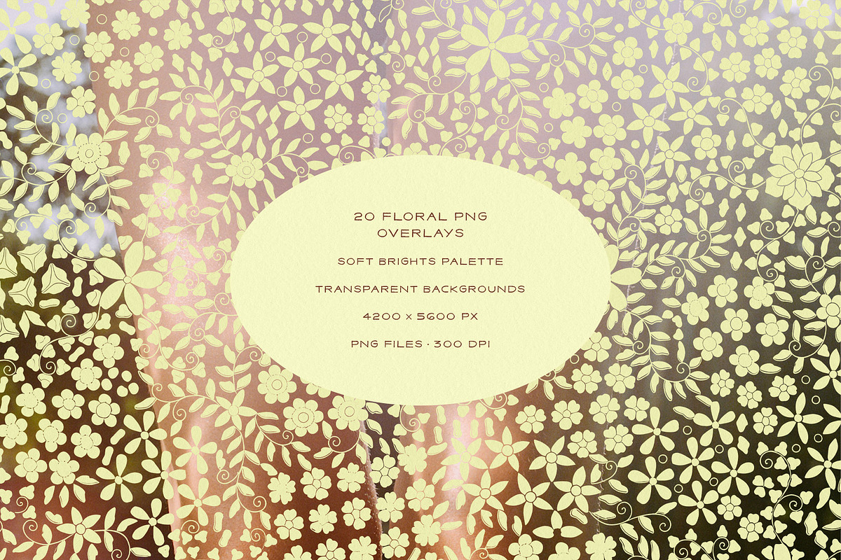 Vintage Floral Frames & Overlays, an Object Graphic by alonahaidash (Photo 17 of 19)