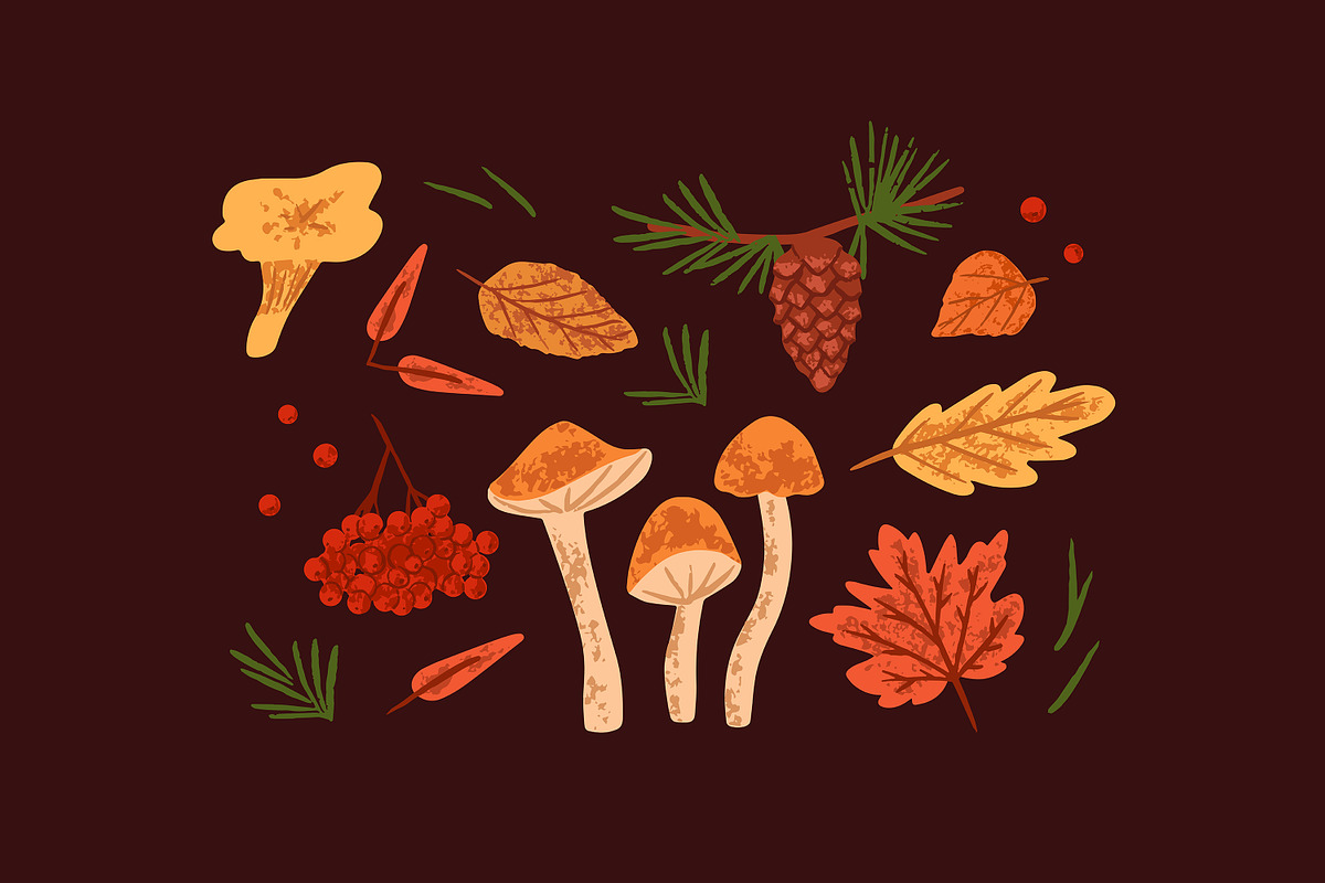 Autumn forest nature, dry leaves set, a Seasonal Illustration by PaperTrident (Photo 3 of 6)