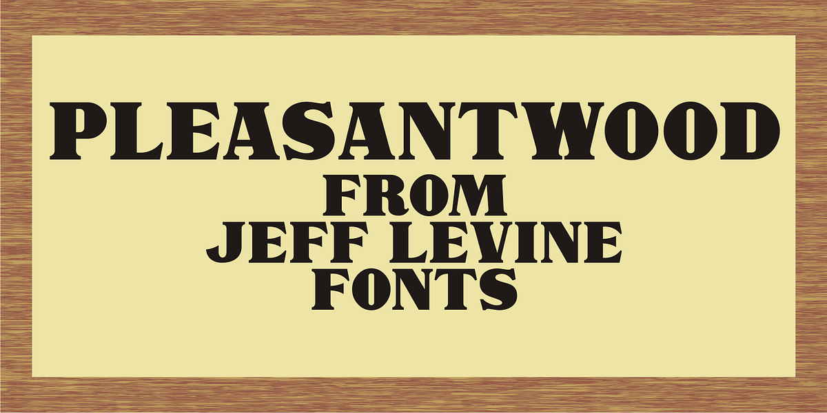 Pleasantwood JNL, a Serif Font by Jeff Levine Fonts
