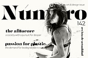 Fabrica - Decorative Serif, a Serif Font by Fenotype (Thumbnail 2 of 10)