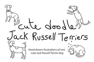 Cute doodle Jack Russell Terriers