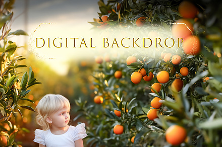 Oranges Digital Backdrop