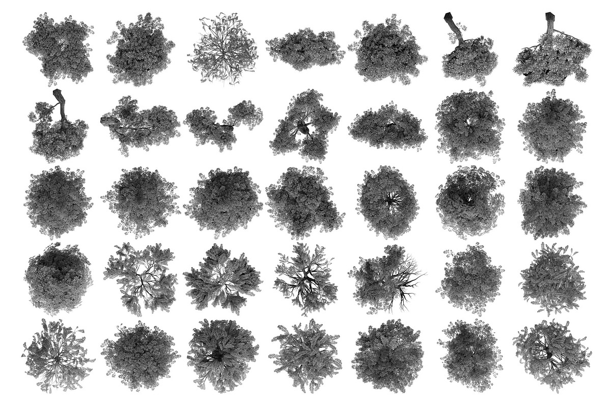 Tree Brushes - Willow Edition, a Brush Add-On by xresch (Photo 26 of 27)