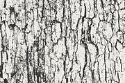 Tree Bark Textures, a Texture Graphic by GhostlyPixels (Thumbnail 9 of 9)