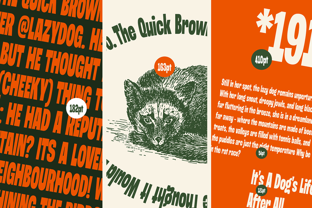 MTC Kraveline - Condensed Bold Font, a Sans Serif Font by Martype (Photo 3 of 9)