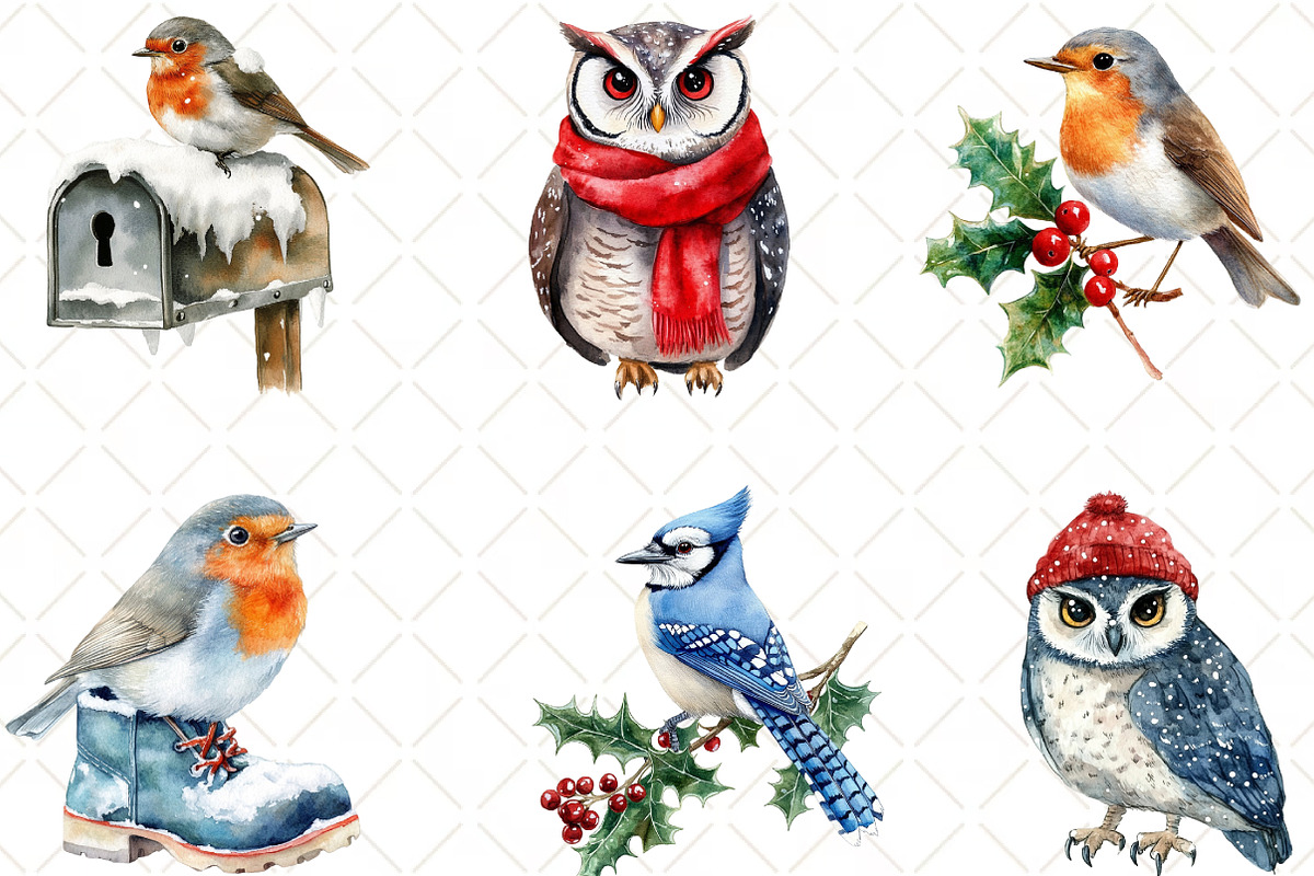 Winter Birds Christmas Clipart, an Illustration by Black Bird Studio (Photo 6 of 6)