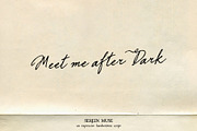 Serein Muse Handwritten Script, a Script Font by Mneme (Thumbnail 3 of 8)